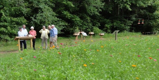 Pollinator garden at Camp Discovery.jpg